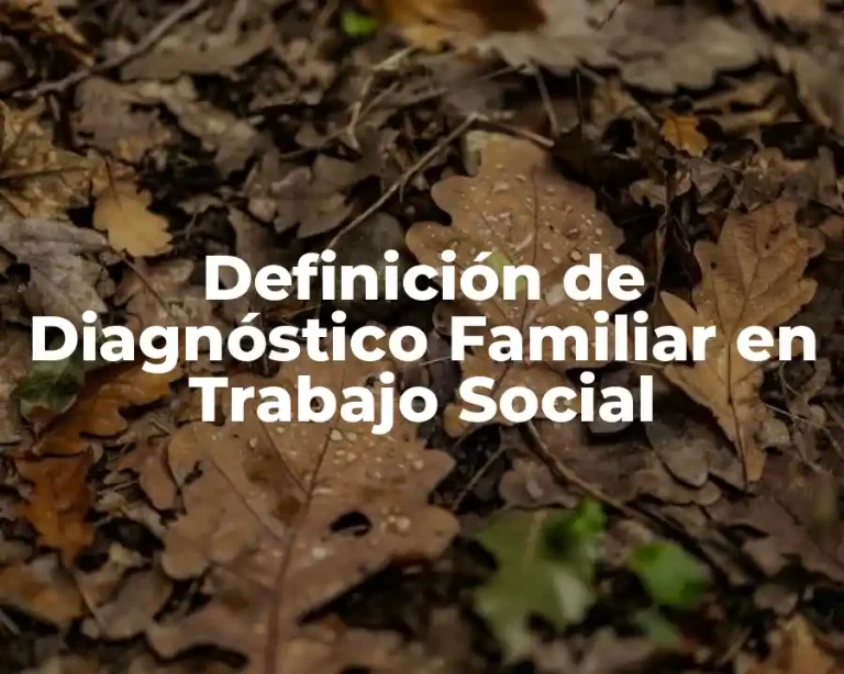 Definición de Diagnóstico Familiar en Trabajo Social