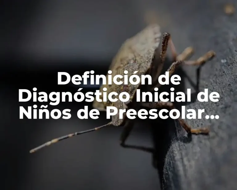 Definición de Diagnóstico Inicial de Niños de Preescolar, ejemplo