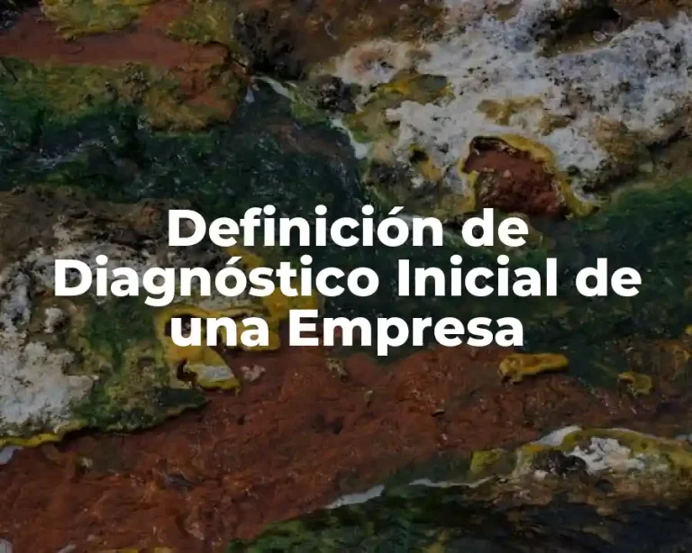 Definición de Diagnóstico Inicial de una Empresa
