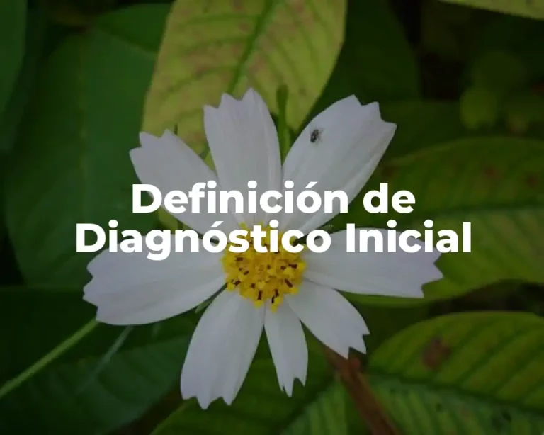 Definición de Diagnóstico Inicial