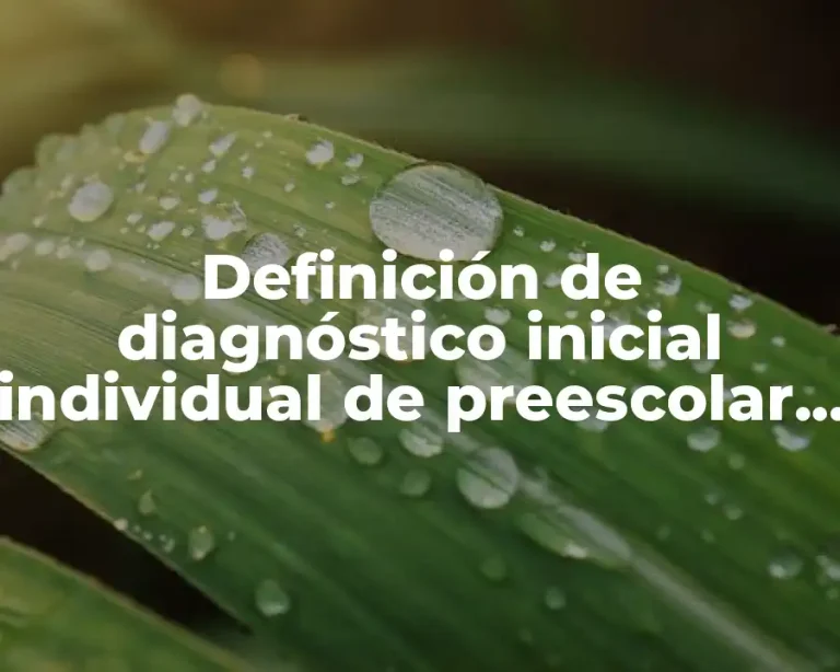 Definición de diagnóstico inicial individual de preescolar segundo