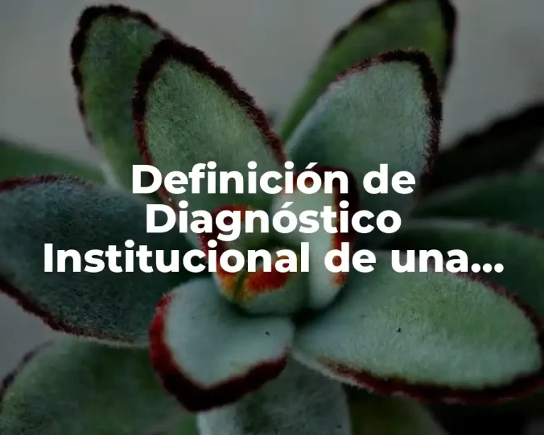 Definición de Diagnóstico Institucional de una Escuela Primaria