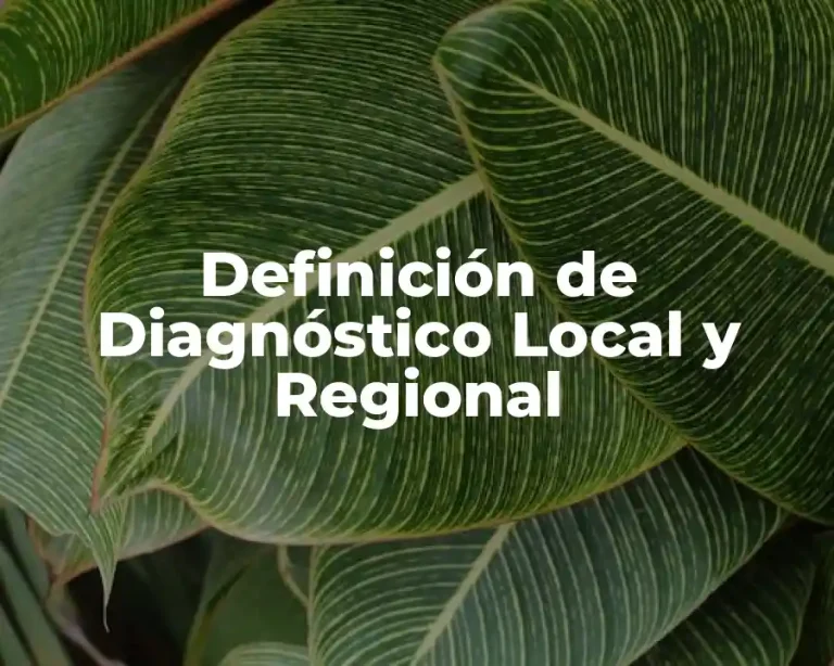 Definición de Diagnóstico Local y Regional