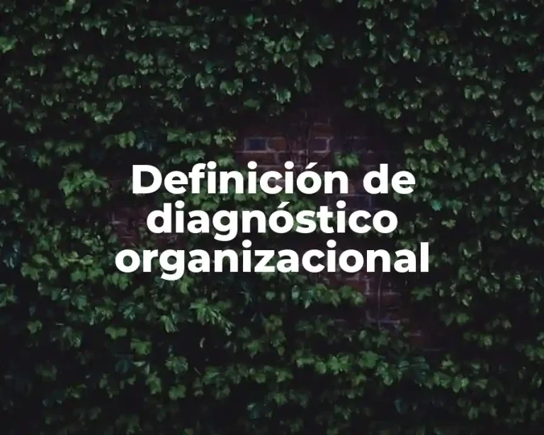 Definición de diagnóstico organizacional
