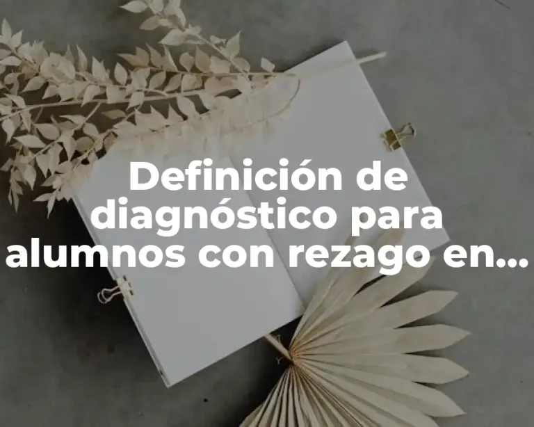 Definición de diagnóstico para alumnos con rezago en primaria