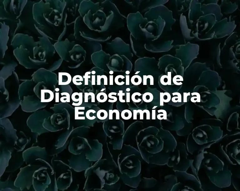 Definición de Diagnóstico para Economía