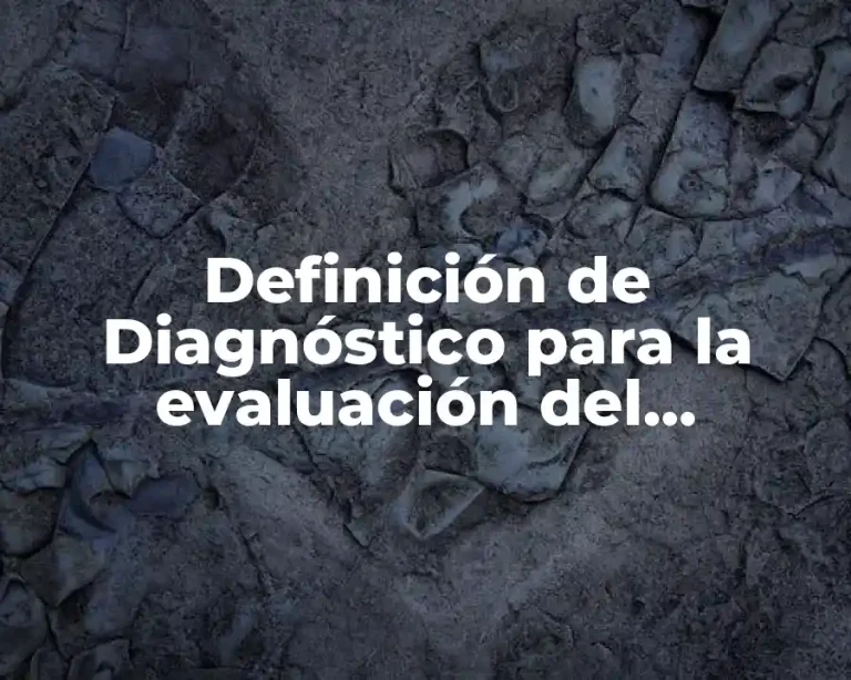 Definición de Diagnóstico para la evaluación del desempeño