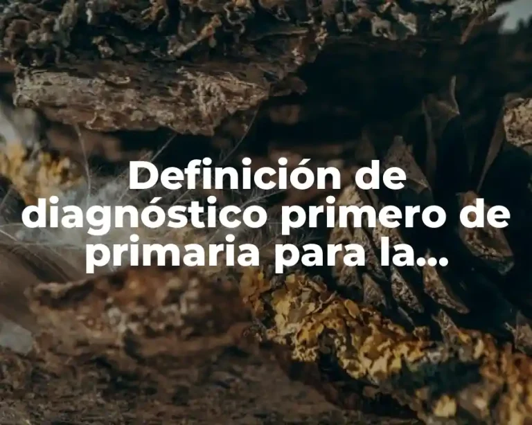 Definición de diagnóstico primero de primaria para la permanencia