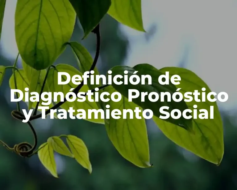 Definición de Diagnóstico Pronóstico y Tratamiento Social