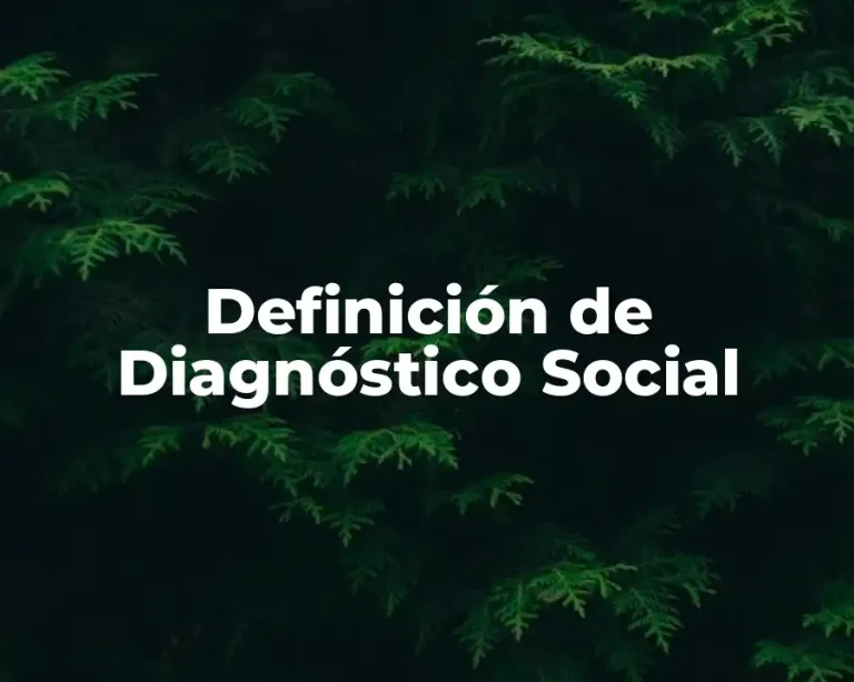 Definición de Diagnóstico Social
