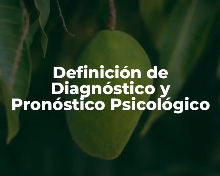 Definición de Diagnóstico y Pronóstico Psicológico