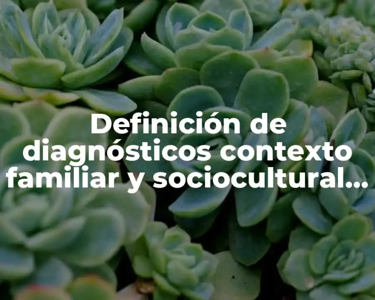 Definición de diagnósticos contexto familiar y sociocultural de los alumnos