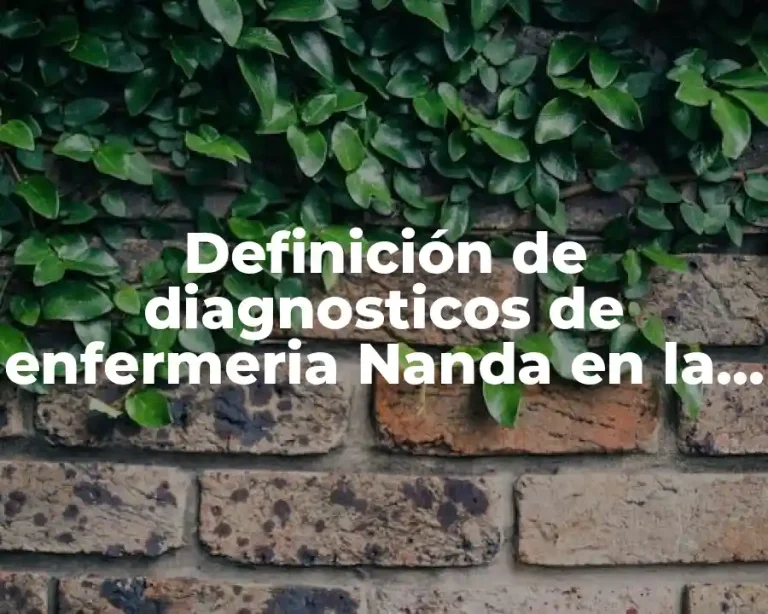 Definición de diagnosticos de enfermeria Nanda en la neumonia