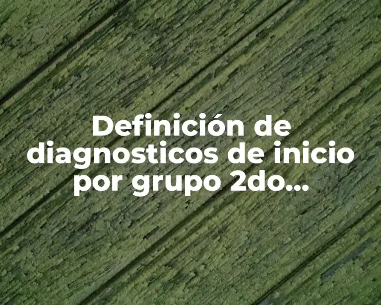 Definición de diagnosticos de inicio por grupo 2do preescolar