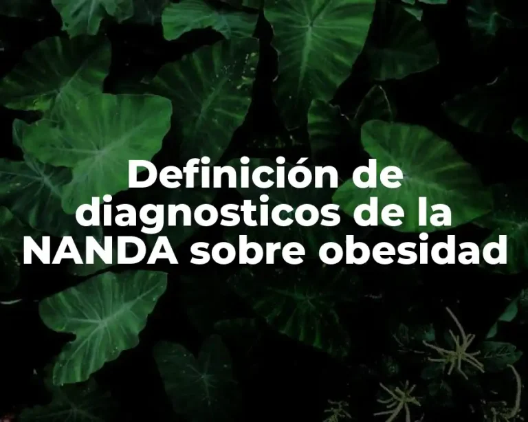 Definición de diagnosticos de la NANDA sobre obesidad
