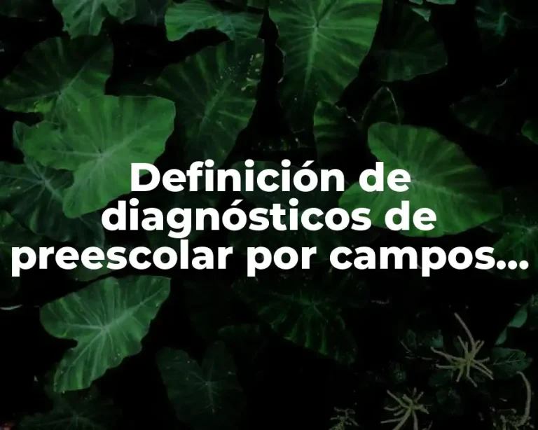 Definición de diagnósticos de preescolar por campos formativos