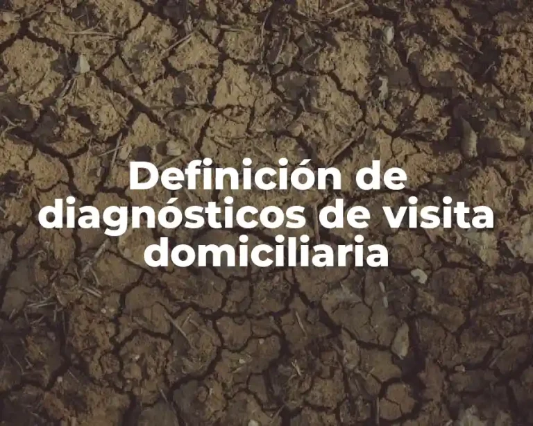 Definición de diagnósticos de visita domiciliaria