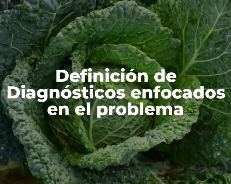 Definición de Diagnósticos enfocados en el problema