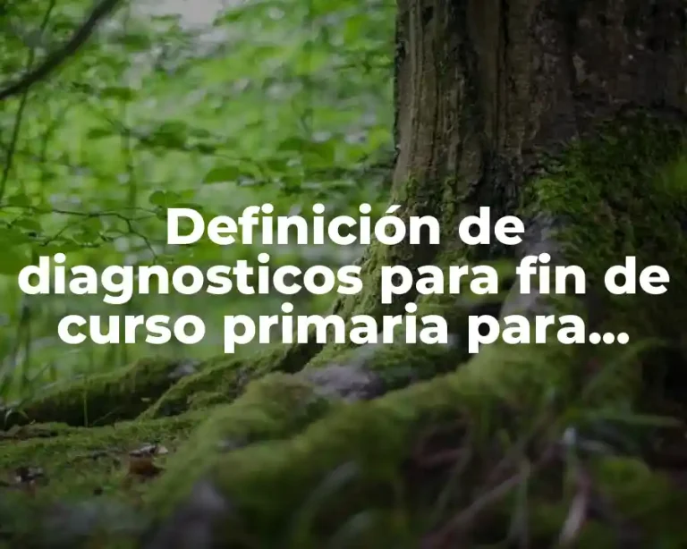 Definición de diagnosticos para fin de curso primaria para llenar