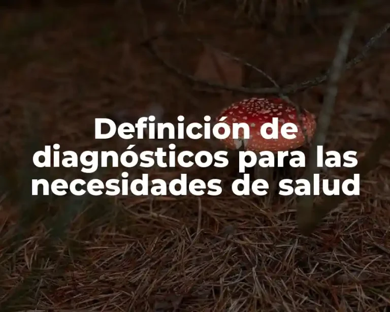 Definición de diagnósticos para las necesidades de salud