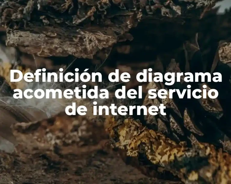 Definición de diagrama acometida del servicio de internet