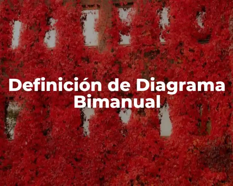Definición de Diagrama Bimanual