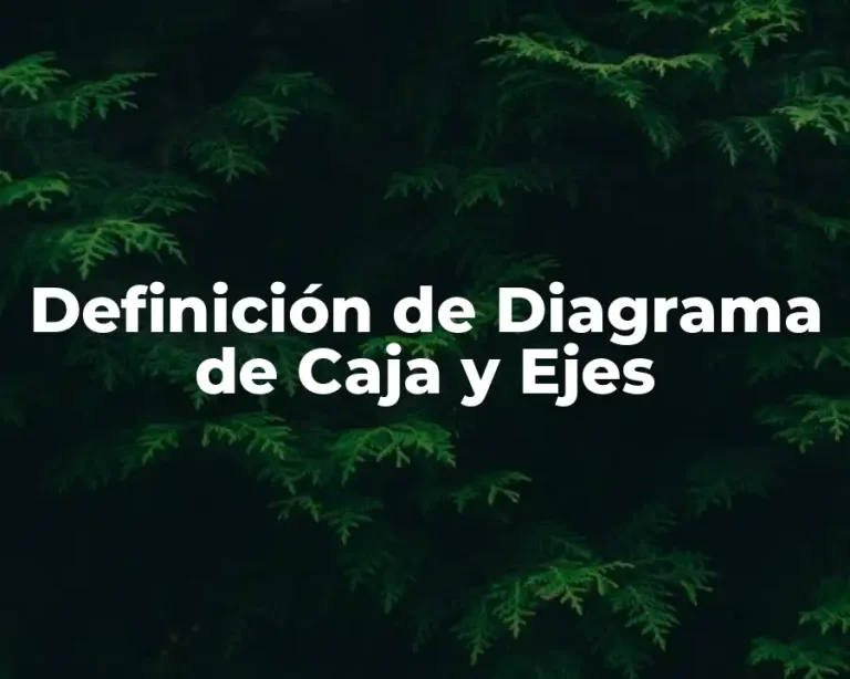 Definición de Diagrama de Caja y Ejes