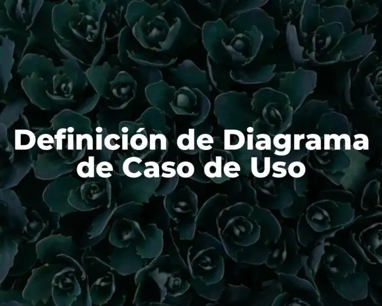 Definición de Diagrama de Caso de Uso