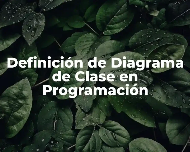Definición de Diagrama de Clase en Programación