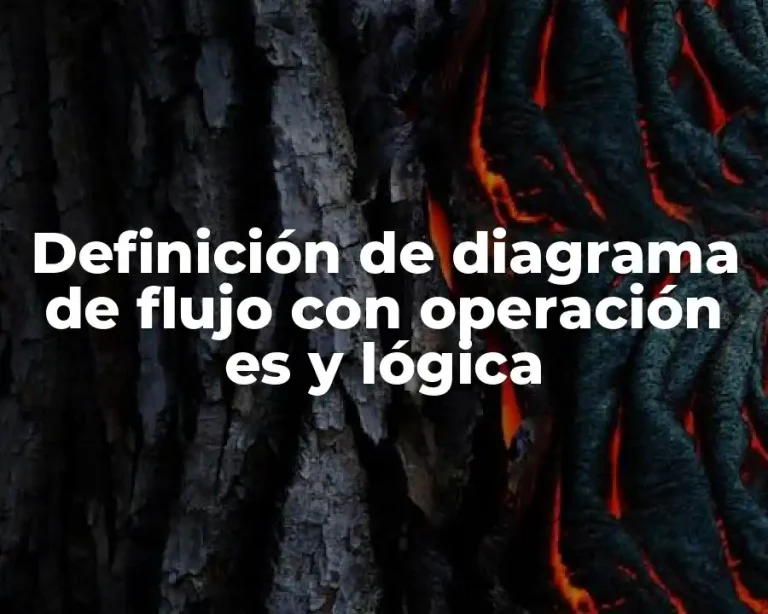 Definición de diagrama de flujo con operación es y lógica