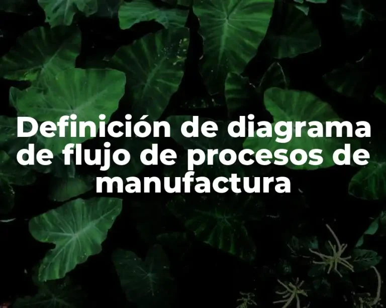 Definición de diagrama de flujo de procesos de manufactura