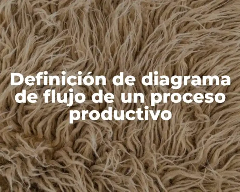 Definición de diagrama de flujo de un proceso productivo