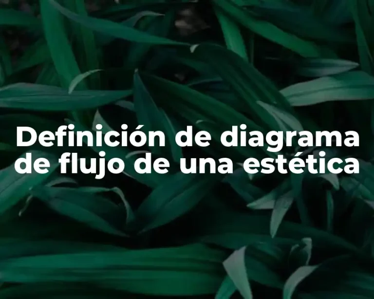Definición de diagrama de flujo de una estética
