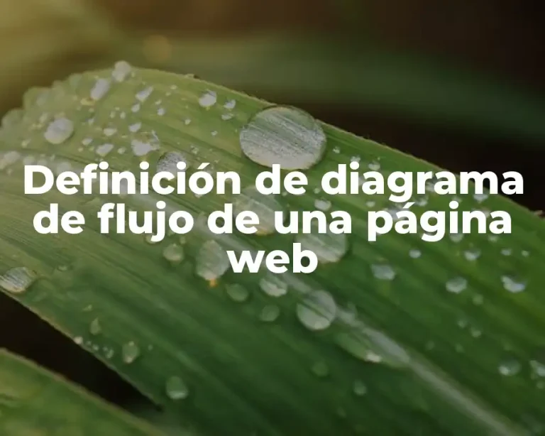 Definición de diagrama de flujo de una página web