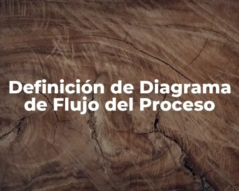 Definición de Diagrama de Flujo del Proceso