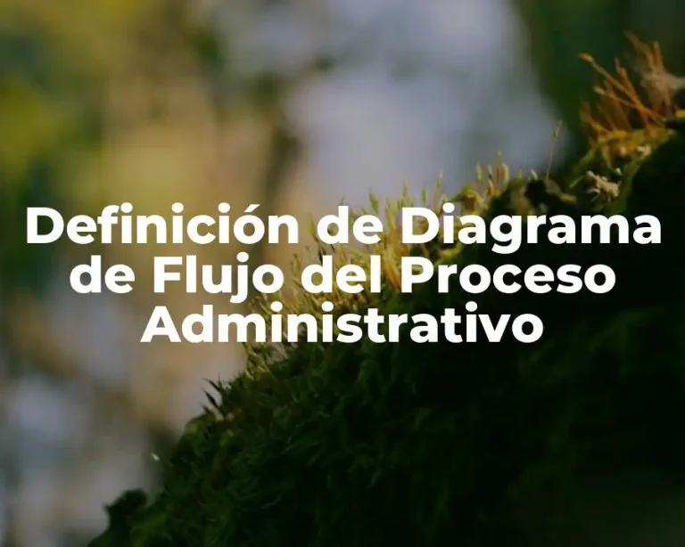 Definición de Diagrama de Flujo del Proceso Administrativo