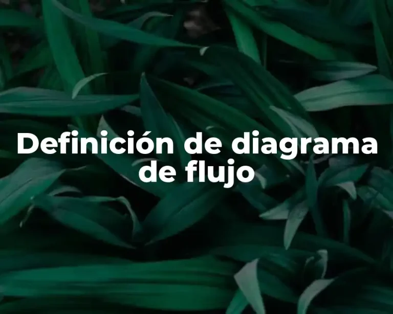 Definición de diagrama de flujo
