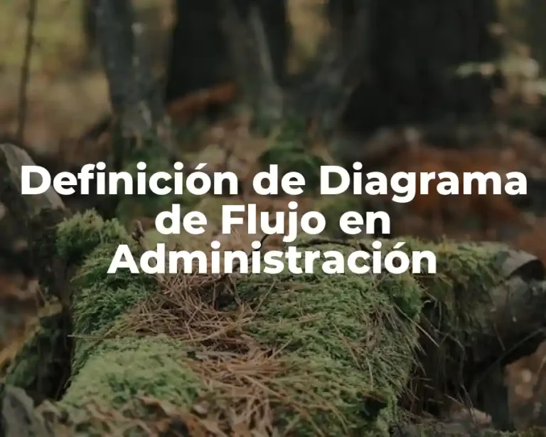 Definición de Diagrama de Flujo en Administración