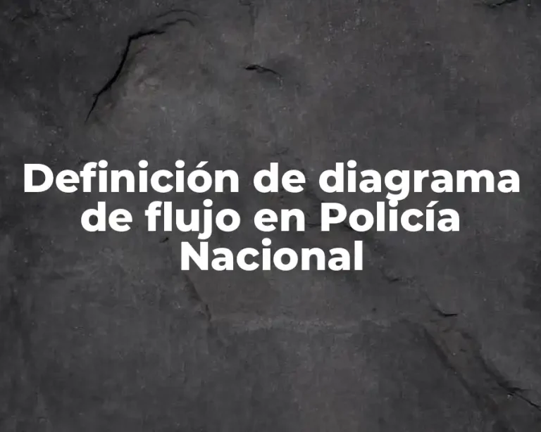 Definición de diagrama de flujo en Policía Nacional