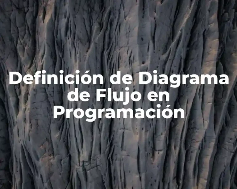 Definición de Diagrama de Flujo en Programación