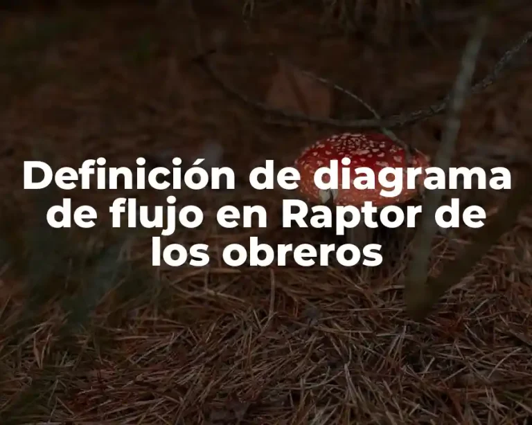 Definición de diagrama de flujo en Raptor de los obreros