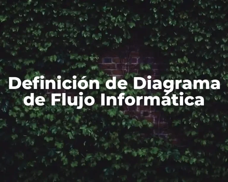 Definición de Diagrama de Flujo Informática