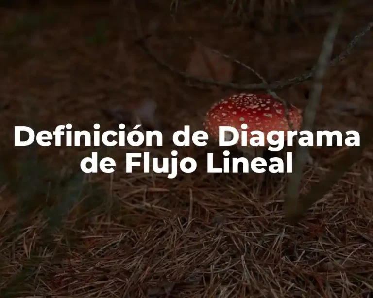 Definición de Diagrama de Flujo Lineal