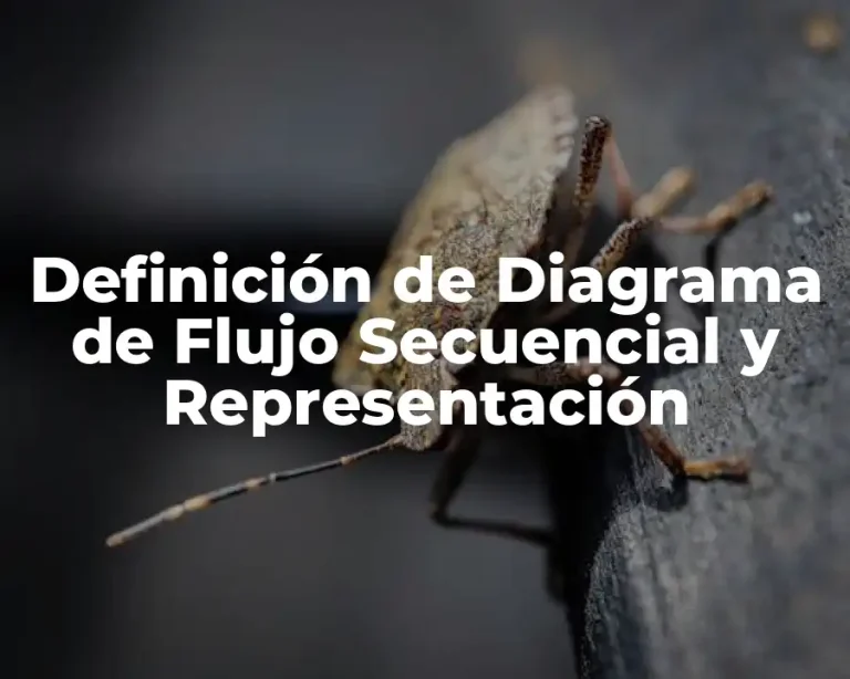 Definición de Diagrama de Flujo Secuencial y Representación