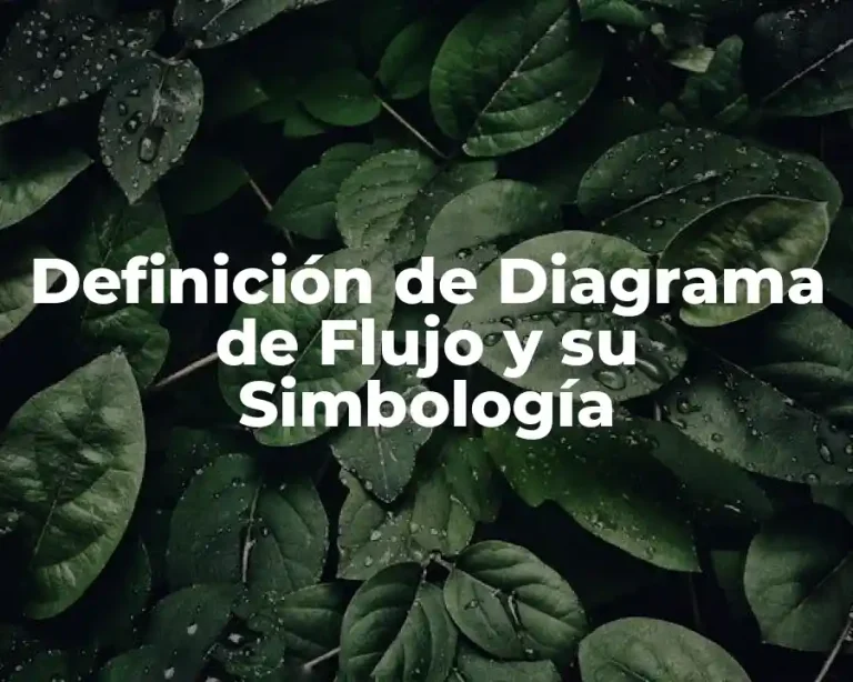 Definición de Diagrama de Flujo y su Simbología