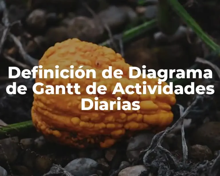 Definición de Diagrama de Gantt de Actividades Diarias