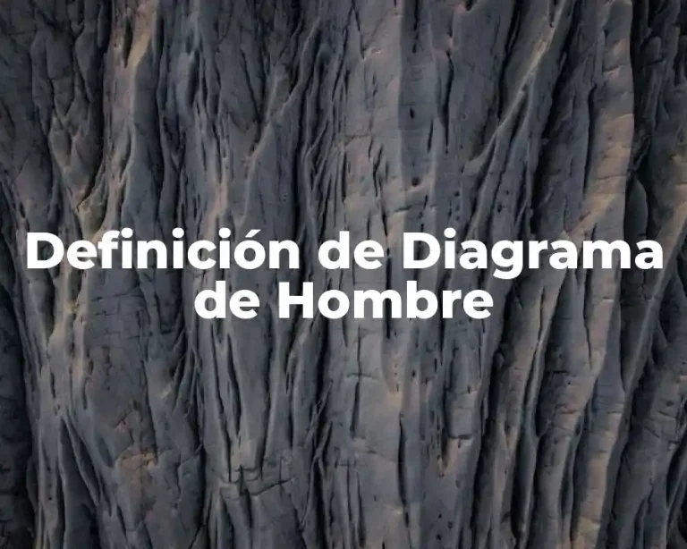 Definición de Diagrama de Hombre