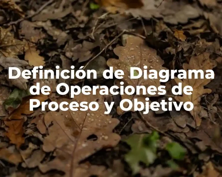 Definición de Diagrama de Operaciones de Proceso y Objetivo