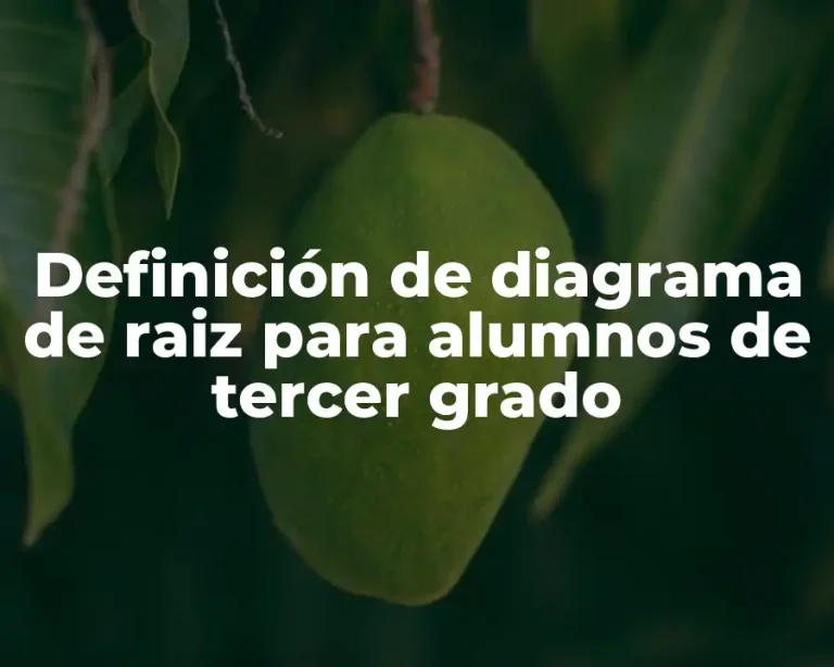 Definición de diagrama de raiz para alumnos de tercer grado