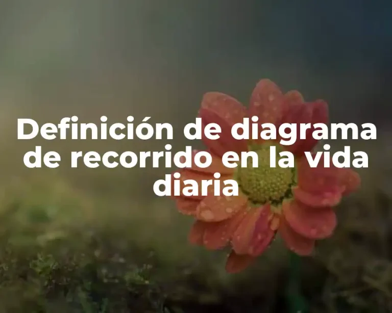 Definición de diagrama de recorrido en la vida diaria
